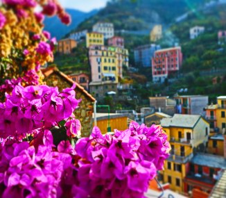 There Are Always Flowers... Cinque Terre